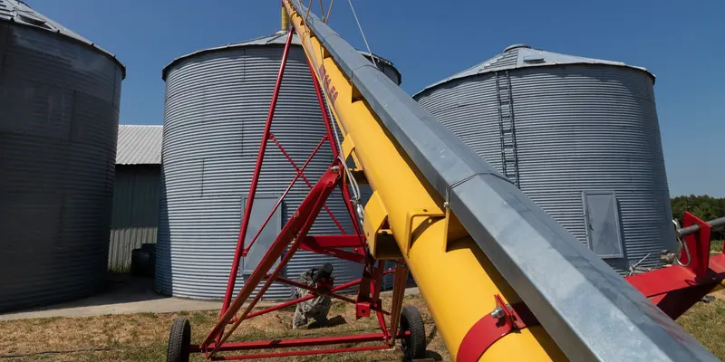 Auger conveyor feeding steel grain storage silos